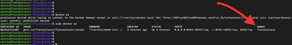 FlareSolverr Docker