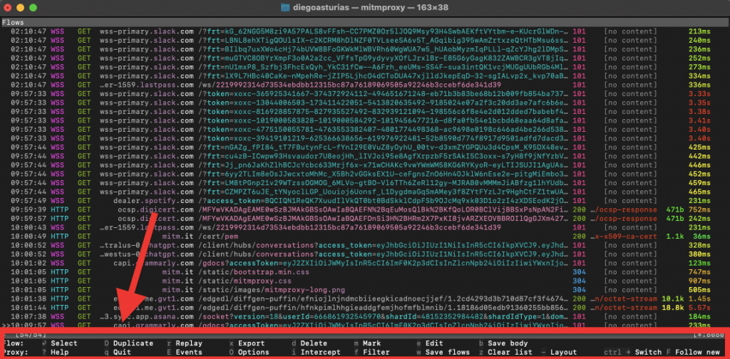 mitmproxy User Interface