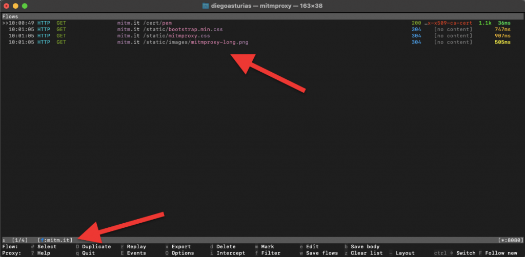 knowing the Midmproxy interface