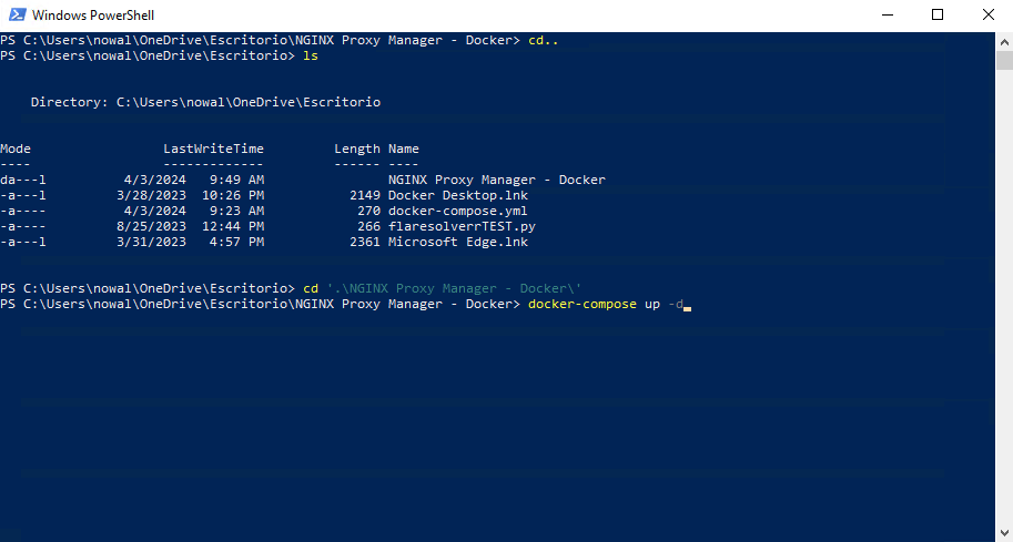 Powershell Docker Compose NPM