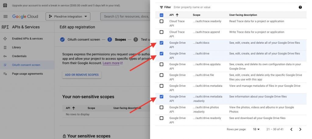 Google API Client for Plexdrive