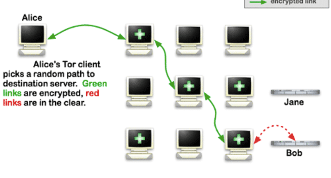 TOR network architecture.