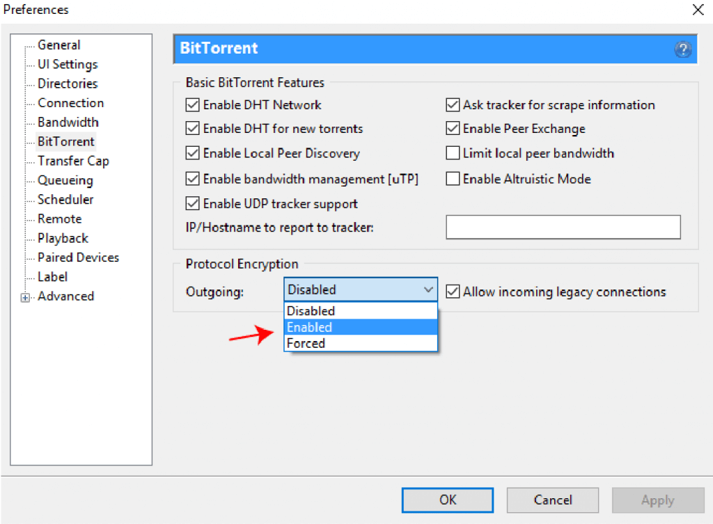 BitTorrent protocol encryption