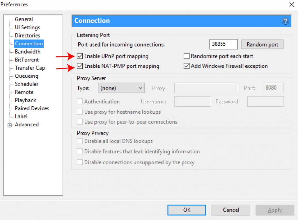 NAT-PMP port mapping