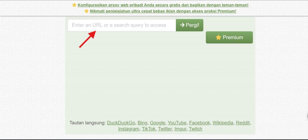 masukkan alamat di situs web proxy croxy