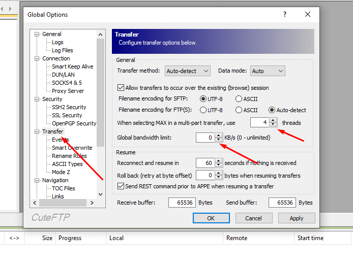 CuteFTP multi-part transfers, multi-threads. 