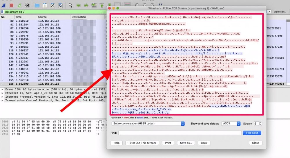 Şifrelenmiş verileri gösteren Wireshark izi. 