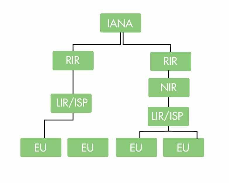 Hiérarchie d'attribution des adresses IP de l'IANA.