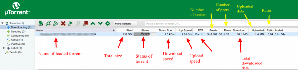 utorrent-main