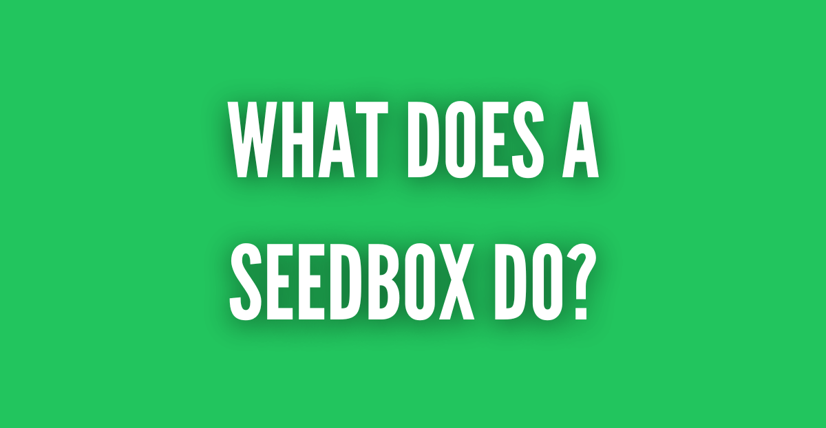 what does a seedbox do