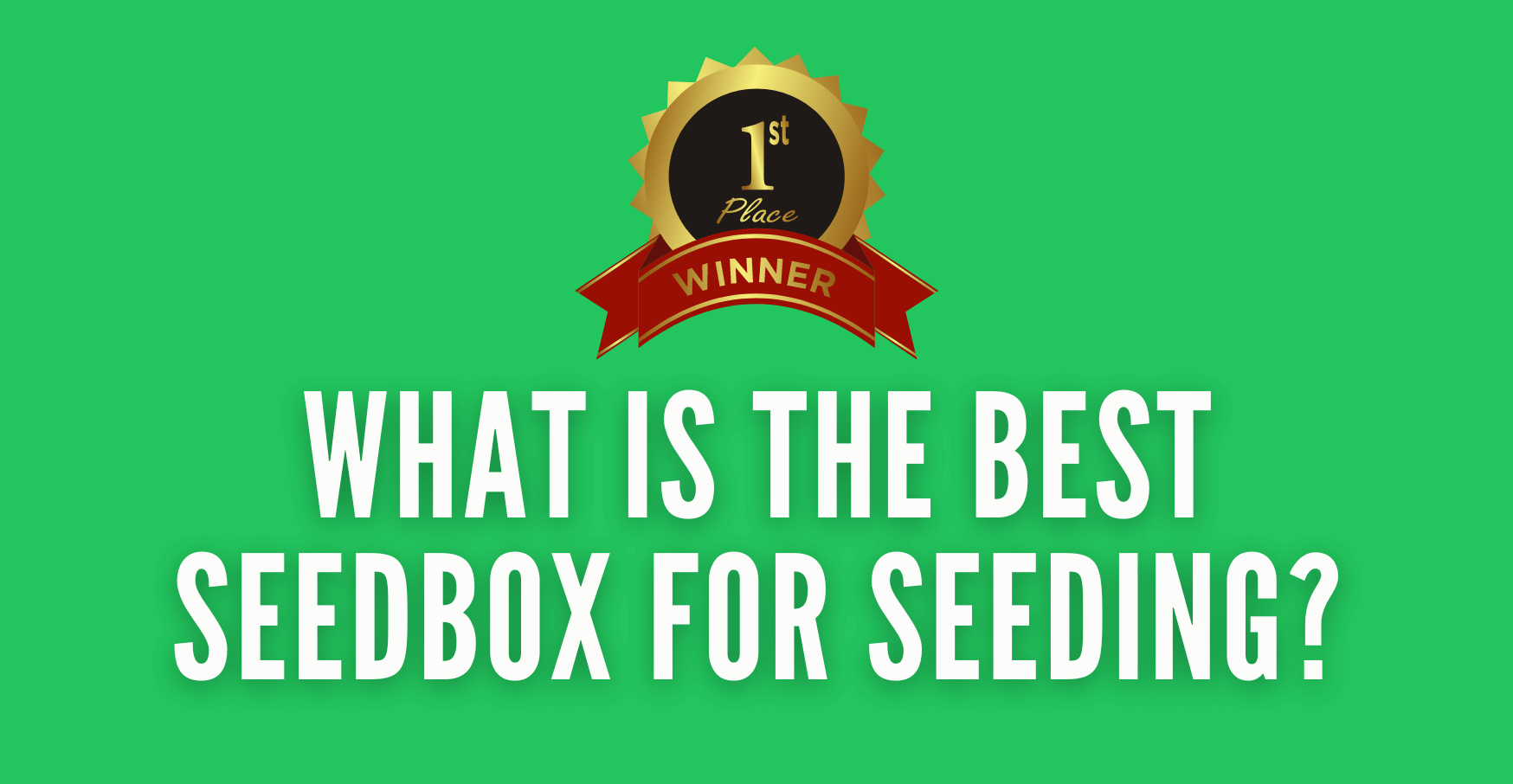 what is the best seedbox for seeding