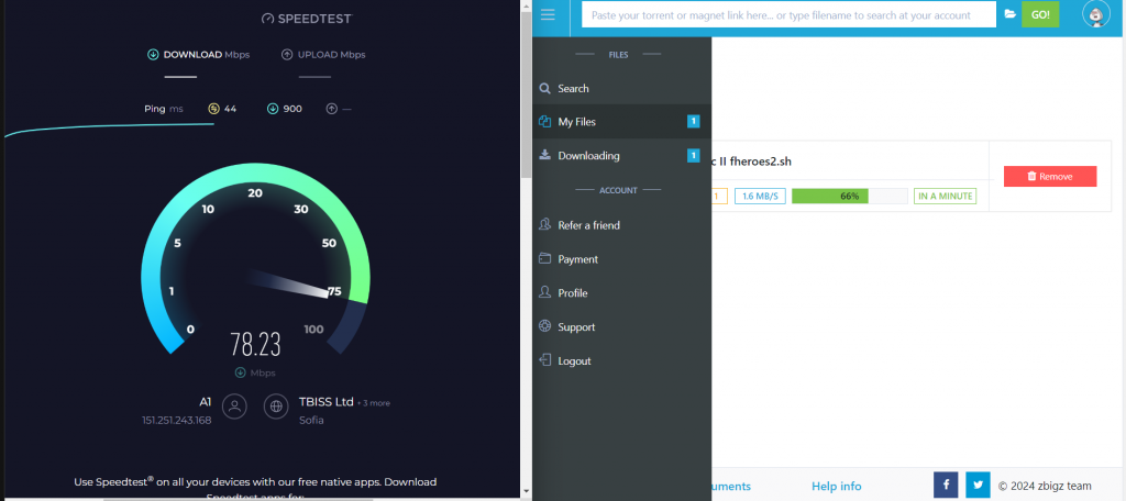 zbigz speed test